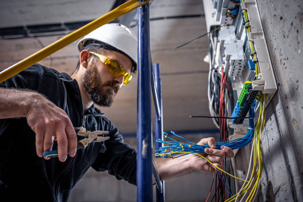 Best Electrical Repair Services  in Grosse Pointe, MI