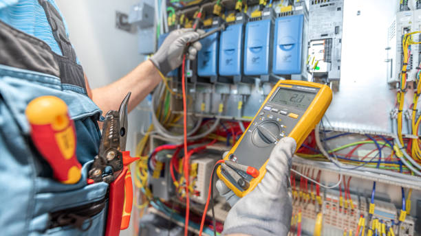 Best Electric Panel Repair  in Grosse Pointe, MI